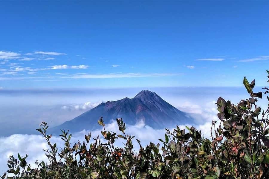Mount Merbabu Hiking Tour 2D1N With Camping - The drive from Yogyakarta or Borobudur