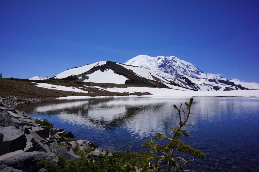 Mount Rainier: Day Hike on the Mountain - Key points at a glance