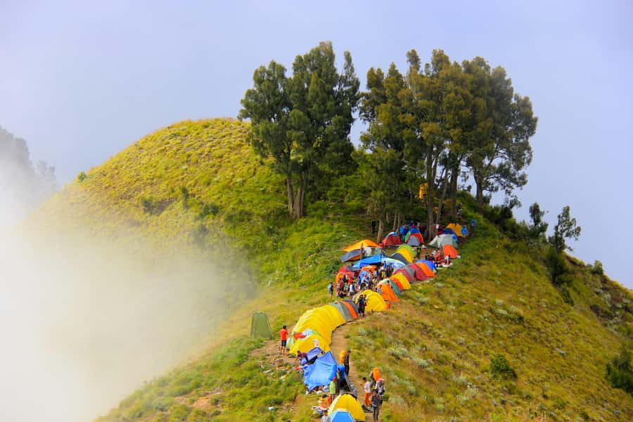 Mount Rinjani: 2D/1N Trekking To Sembalun Or Senaru Views - The 3 a.m. summit climb