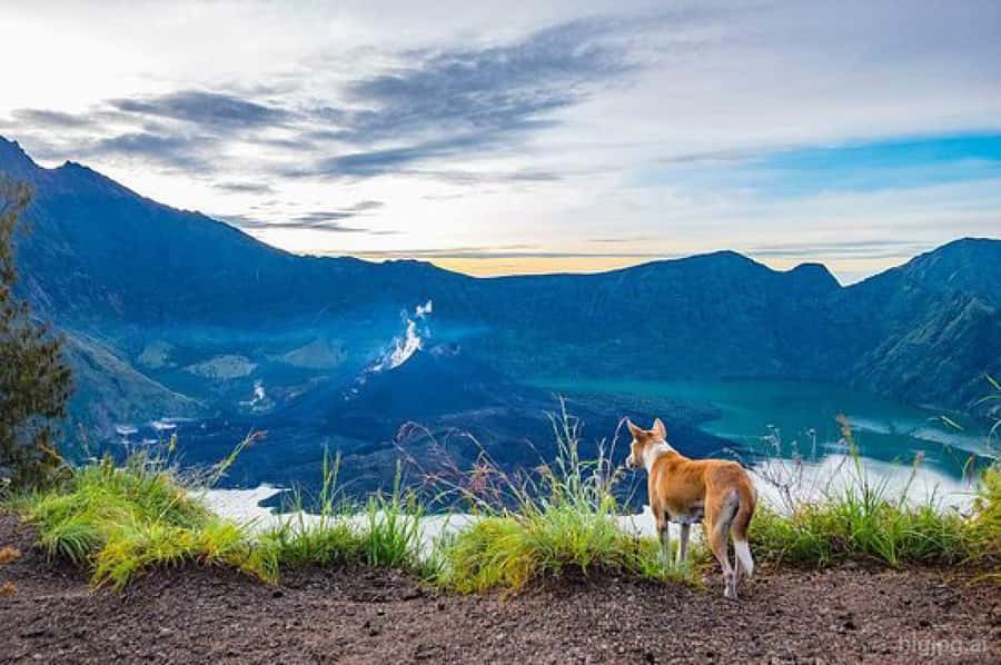 mount rinjani One day trek - The descent back to Senaru
