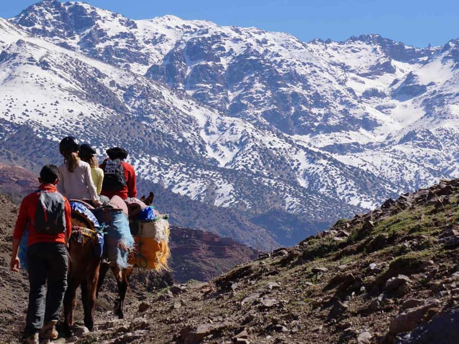 Mount Toubkal Trek 2 Days & 1 Night - Is $151 good value for a two-day Toubkal trek?