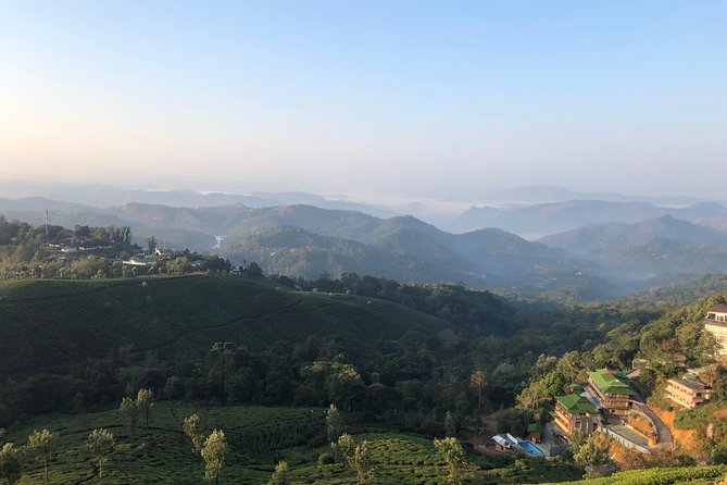 Mountain Hiking in Munnar (half day) By Munnar Info - A four-hour route above Munnar’s tea country
