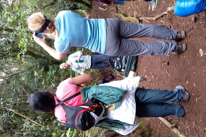 Mountain Kilimanjaro Day Hike - A Kilimanjaro taste without a summit attempt