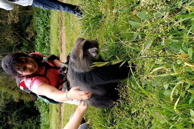 Mountain Kilimanjaro Day Hike - The Marangu rainforest trail