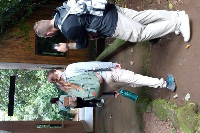 Mountain Kilimanjaro Day Hike - Wildlife and views in the lower forest