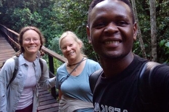 Mountain Kilimanjaro Day Hike - The climb to Mandara Hut