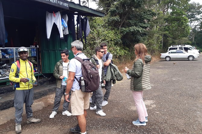 Mountain Kilimanjaro Day Hike - Picnic lunch and the long walk back
