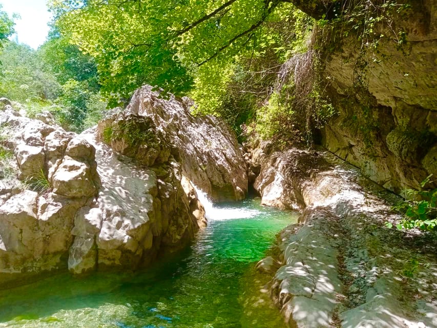Mountain Train Experience: Hike & Mystic Forest (From Nice) - Why this train trip is worth your day