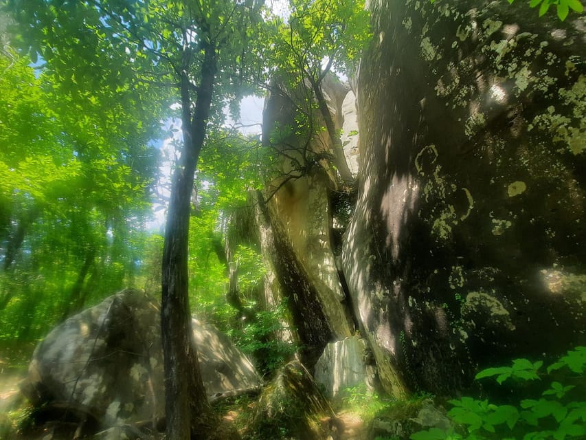 Mountain Train Experience: Hike & Mystic Forest (From Nice) - The second train and the village of Annot