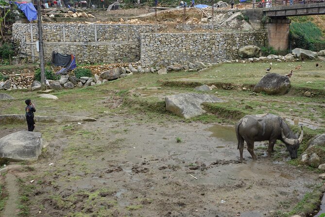 Mountain views and villages trek – 1 Day - Hau Thao, Giang Ta Chai, and the return route
