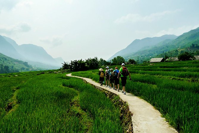 Mountain views & Rice Terraced Fields Hiking – 2D 1N - Leaving Sapa for Hang Da’s wide mountain views