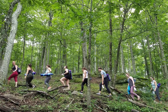 Mountaintop Yoga & Meditation Hike in Asheville - Price and value at $75