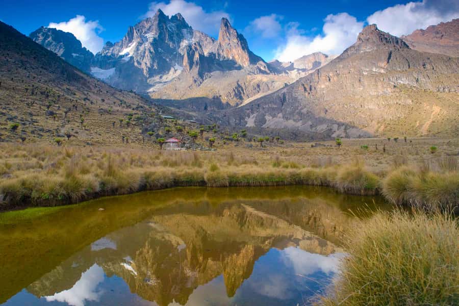 Mt Kenya: Full-day hiking tour from Nairobi - Bamboo, open slopes, and the changing route