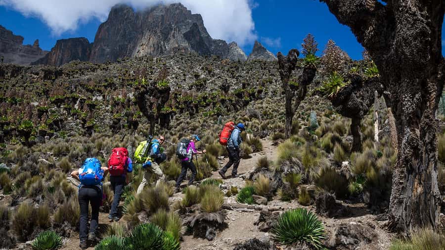 Mt Kenya: Full-day hiking tour from Nairobi - Should you book Mt Kenya from Nairobi?