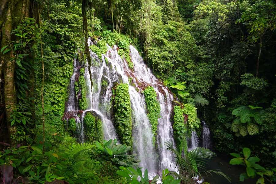 Munduk: Banyu Wana and Sekumpul Waterfall Trekking Tour - Banyu Wana Amerta brings the first swim