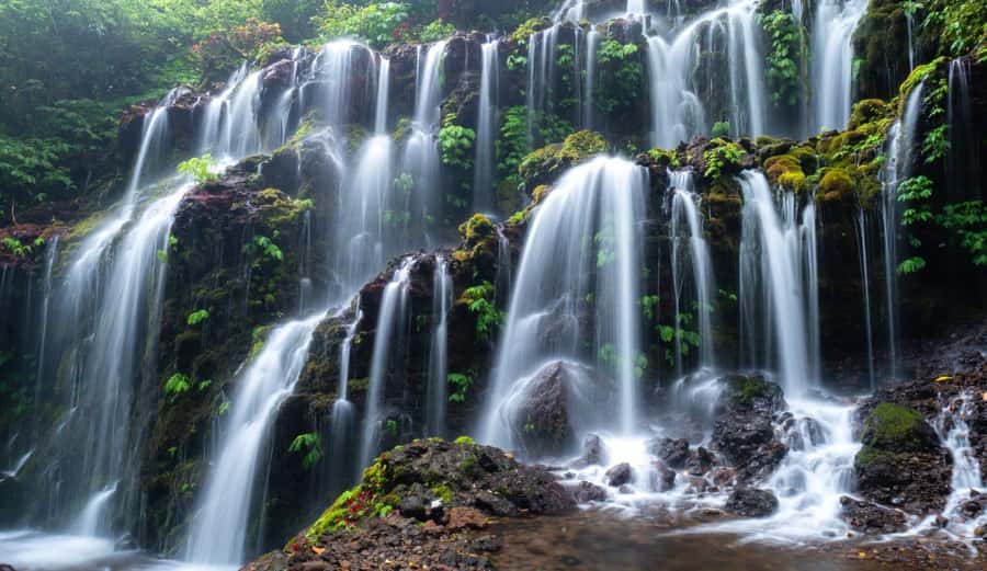 Munduk: Banyu Wana and Sekumpul Waterfall Trekking Tour - Rice terraces provide an easy start