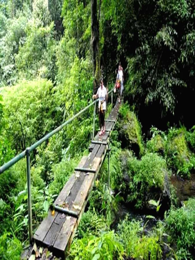 Munduk Jungle Trek to Banyumala & Pucak Manik – Private - Key points at a glance