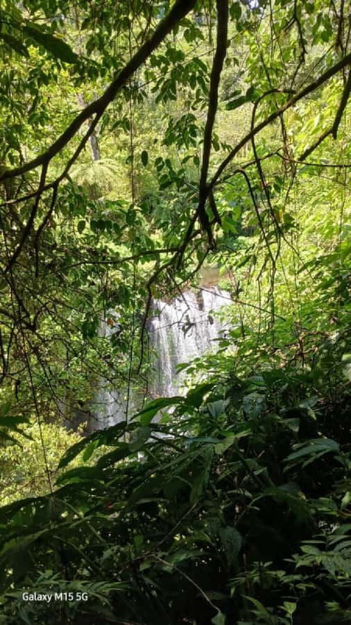 Munduk Jungle Trek to Banyumala & Pucak Manik – Private - The walk along Jalan Tirta Kuning
