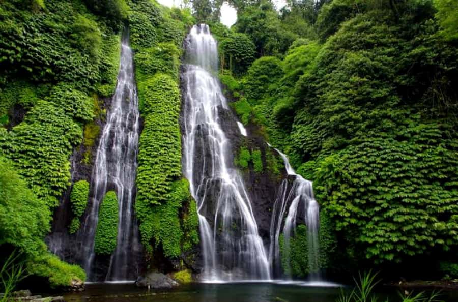 Munduk Jungle Trek to Banyumala & Pucak Manik – Private - Lunch at De Koffie in Wanagiri
