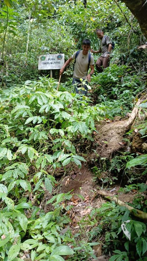 Munduk Jungle Trek to Banyumala & Pucak Manik – Private - How difficult is the trek?