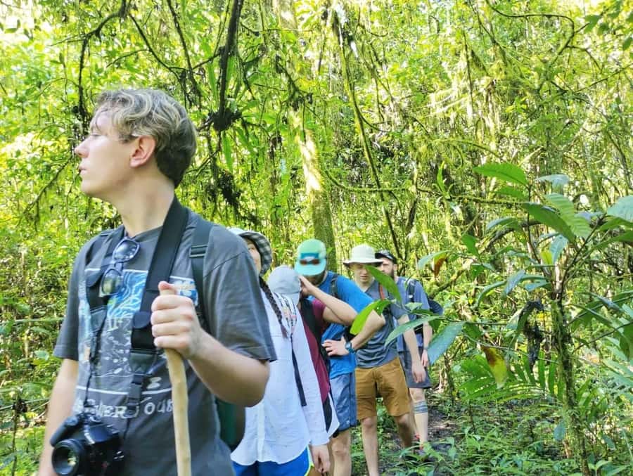 Munduk : Jungle Trekking,Canoeing,waterfall &authentic lunch - Why this northern Bali outing works