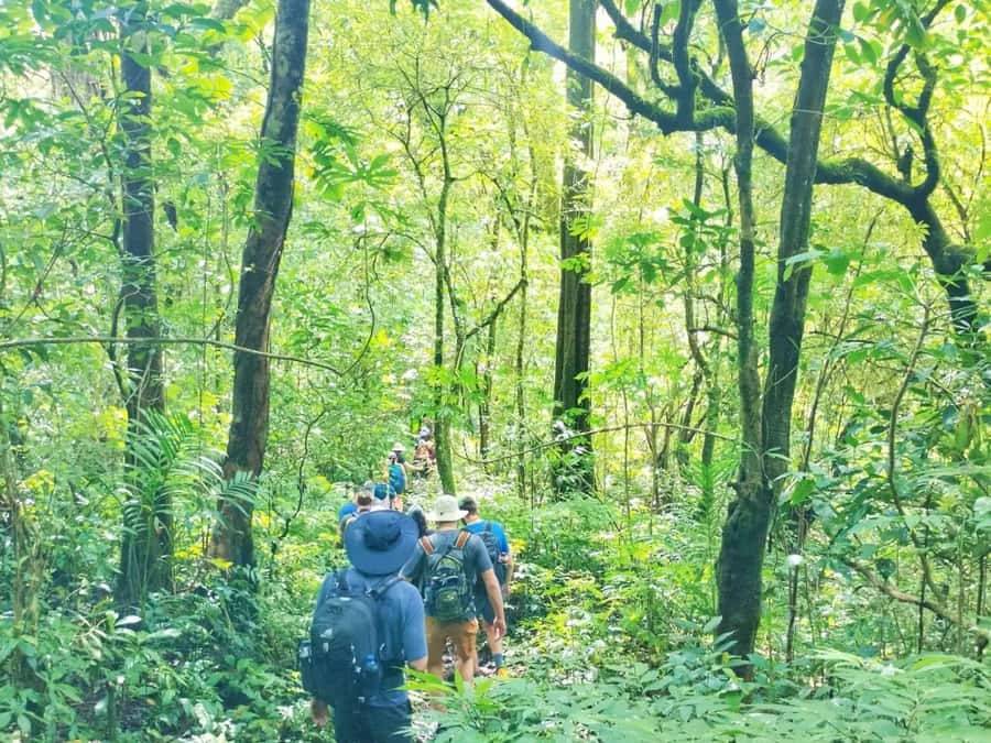 Munduk : Jungle Trekking,Canoeing,waterfall &authentic lunch - Canoeing across Lake Buyan and Lake Tamblingan
