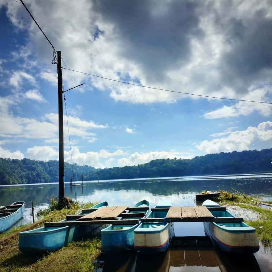 Munduk : Jungle Trekking,Canoeing,waterfall &authentic lunch - What the $45 price really covers