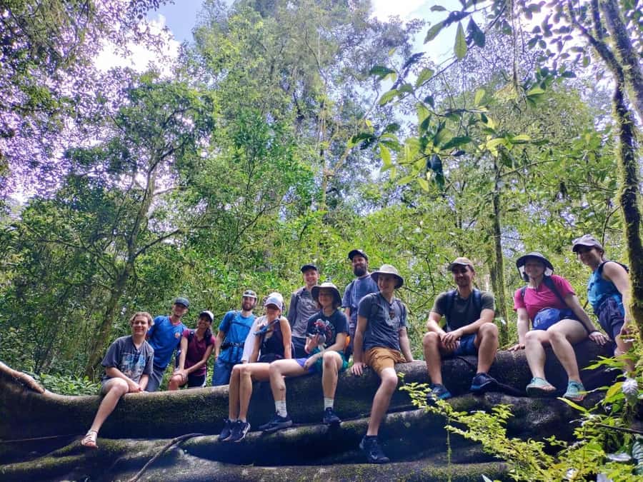 Munduk : Jungle Trekking,Canoeing,waterfall &authentic lunch - Starting in the jungle near the twin lakes