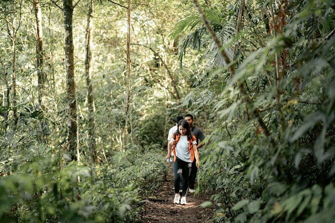 Munduk: Twin Lake Jungle Hike, Ulun Danu Temple, & Waterfall - Starting at Bencingah Temple