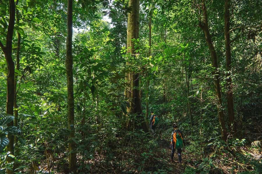 Munduk: Twin Lakes Jungle Hike with Lake Canoe and Waterfall - What to bring for a comfortable day