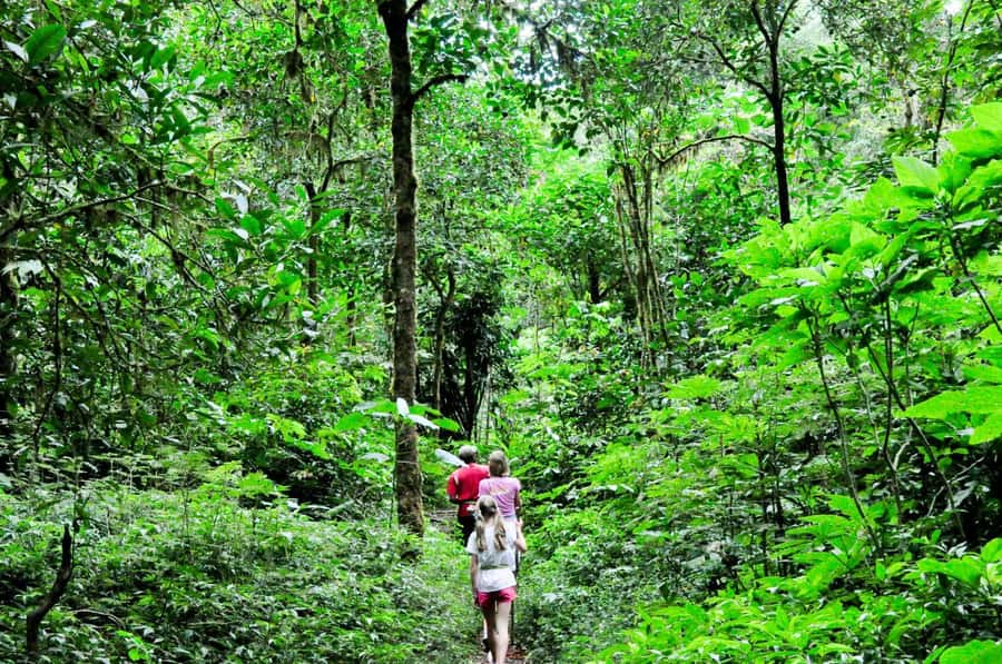 Munduk: Twin Lakes Jungle Hike with Lake Canoe and Waterfall - Why Munduk makes a better walking day