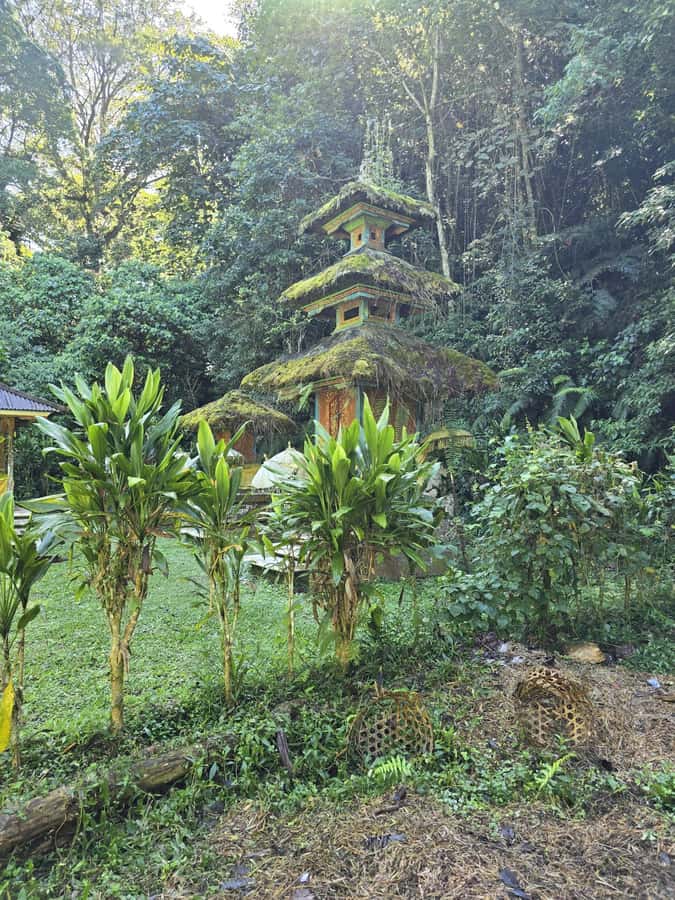 Munduk: Twin Lakes Jungle Hike with Lake Canoe and Waterfall - Banyumala Twin Waterfalls and the swimming stop