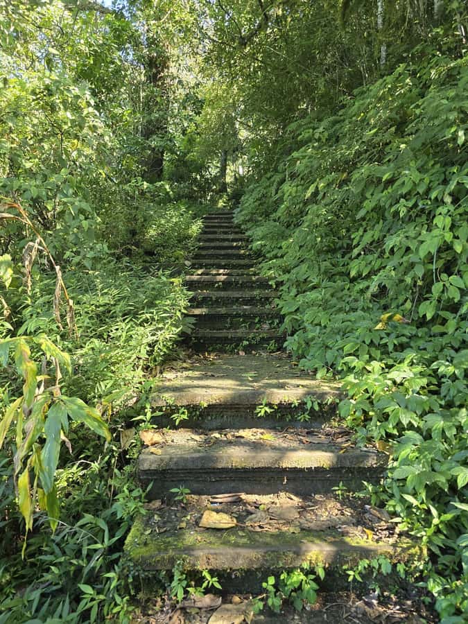Munduk: Twin Lakes Jungle Hike with Lake Canoe and Waterfall - Is $44 good value?