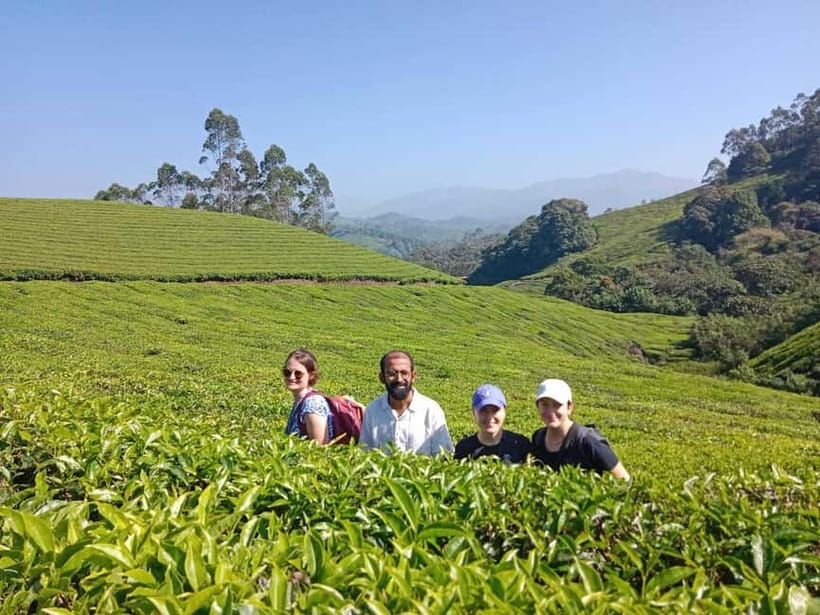 Munnar: Half day Guided Trek - Meeting at Munnar Info and getting started