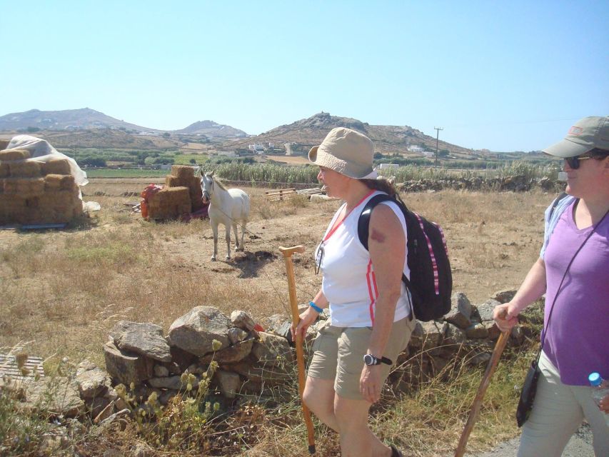 Mykonos Hiking Adventure - Who should choose the short route?
