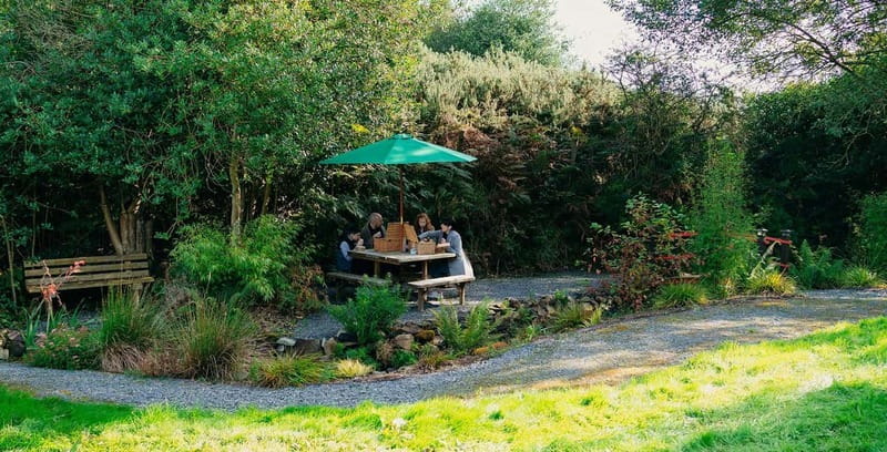 N. Ireland: Award Winning Guided Scenic Alpaca Trekking - Who will enjoy this most