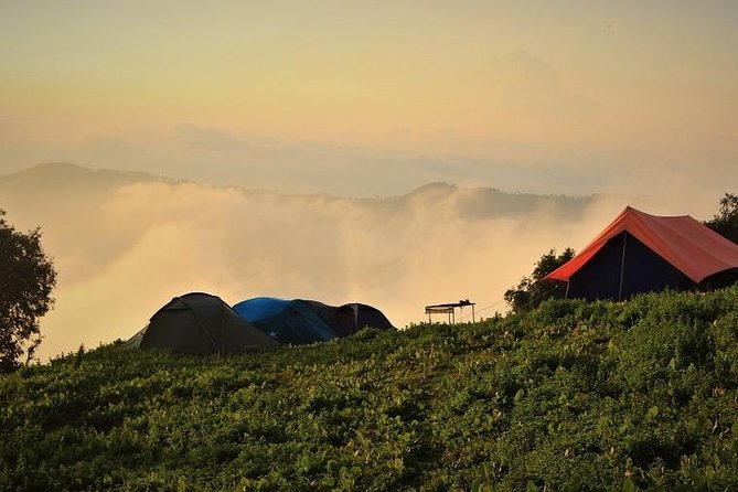 Nag Tibba 2 Days Trek (Pantwari to Pantwari) - Key points to know before you book