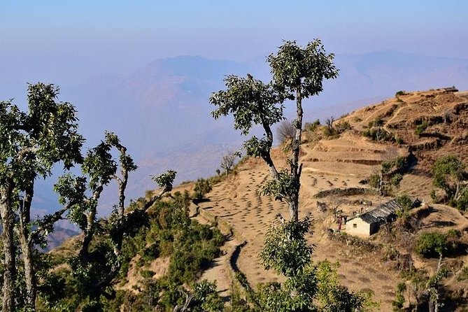 Nag Tibba 2 Days Trek (Pantwari to Pantwari) - Fitness, weather, and small practical concerns