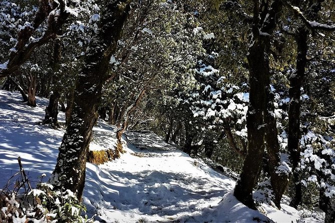 Nag Tibba 2 Days Trek (Pantwari to Pantwari) - Nag Tibba compared with a simple day hike