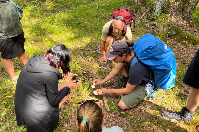 National Park Hike & Finnish Smoke Sauna Experience with Campfire Lunch - The smoke sauna and lake cycle