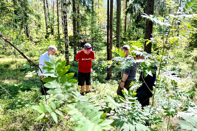 National Park Hike & Finnish Smoke Sauna Experience with Campfire Lunch - A thoughtful Finnish day outside Helsinki