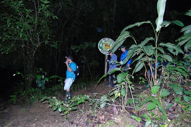 Nativos Corcovado Night Hike in DrakeBay - Key points about this Drake Bay night hike