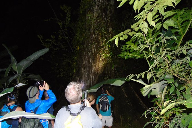 Nativos Corcovado Night Hike in DrakeBay - Meeting the guide at 6:30pm