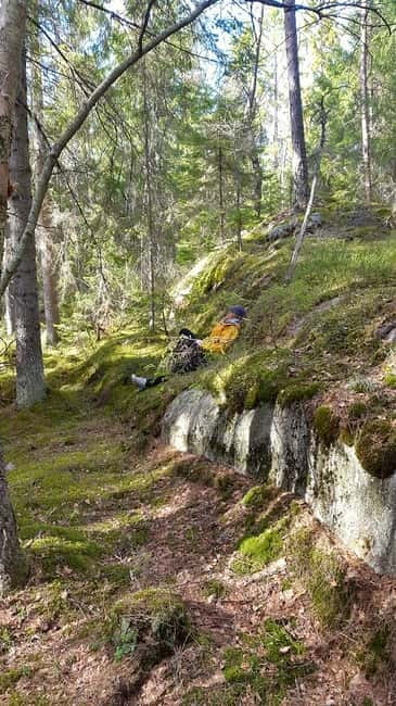 Nature Hike from Stockholm - Key points to know before booking
