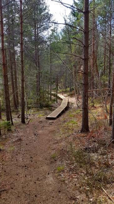 Nature Hike from Stockholm - Practical preparation for a comfortable day