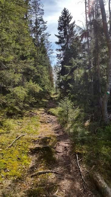 Nature Hike from Stockholm - Leaving Stockholm for the Swedish forest
