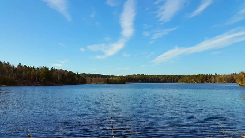 Nature Hike from Stockholm - Pine forest, lake paths, and the first coffee stop