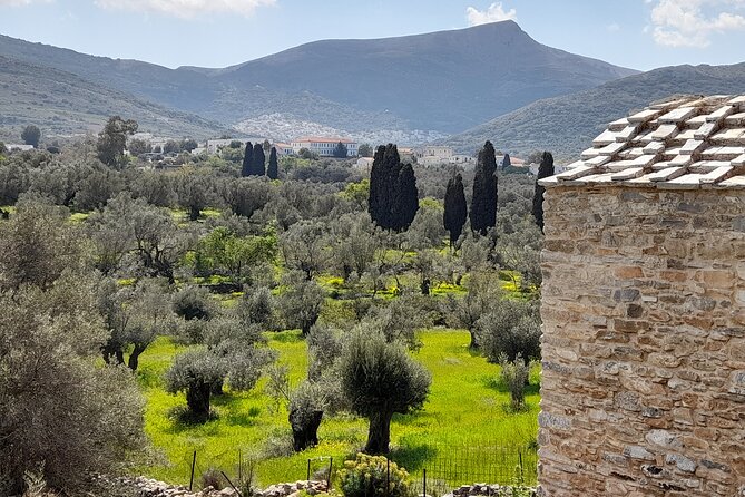 Naxos: Countryside hike among villages & Byzantine churches - Key points to know before booking