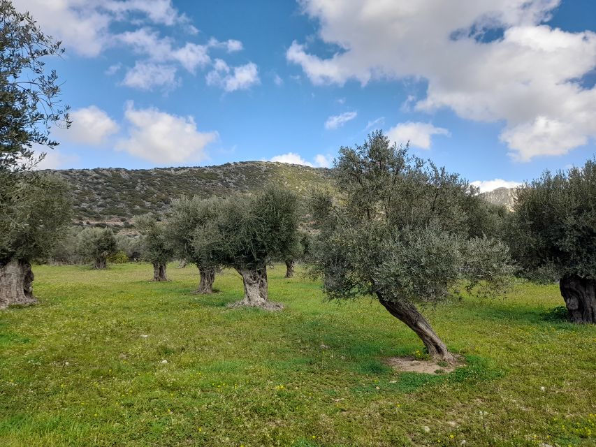 Naxos: Countryside hike among villages & Byzantine churches - Group size, pace, and physical demands