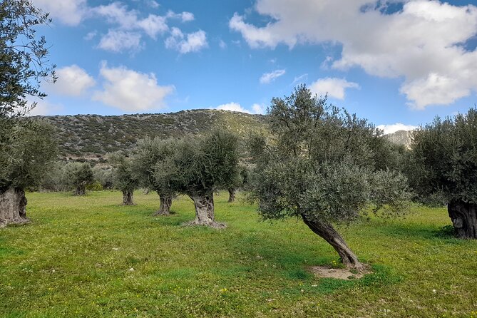 Naxos: Countryside hike among villages & Byzantine churches - Panagia Drosiani and Naxos’ early churches